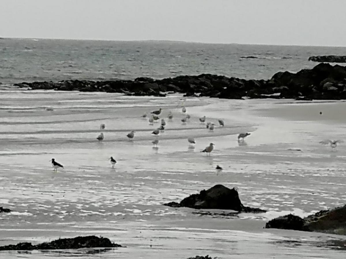 The Fisherman'S Snug Self Catering North Uist Paible Ngoại thất bức ảnh