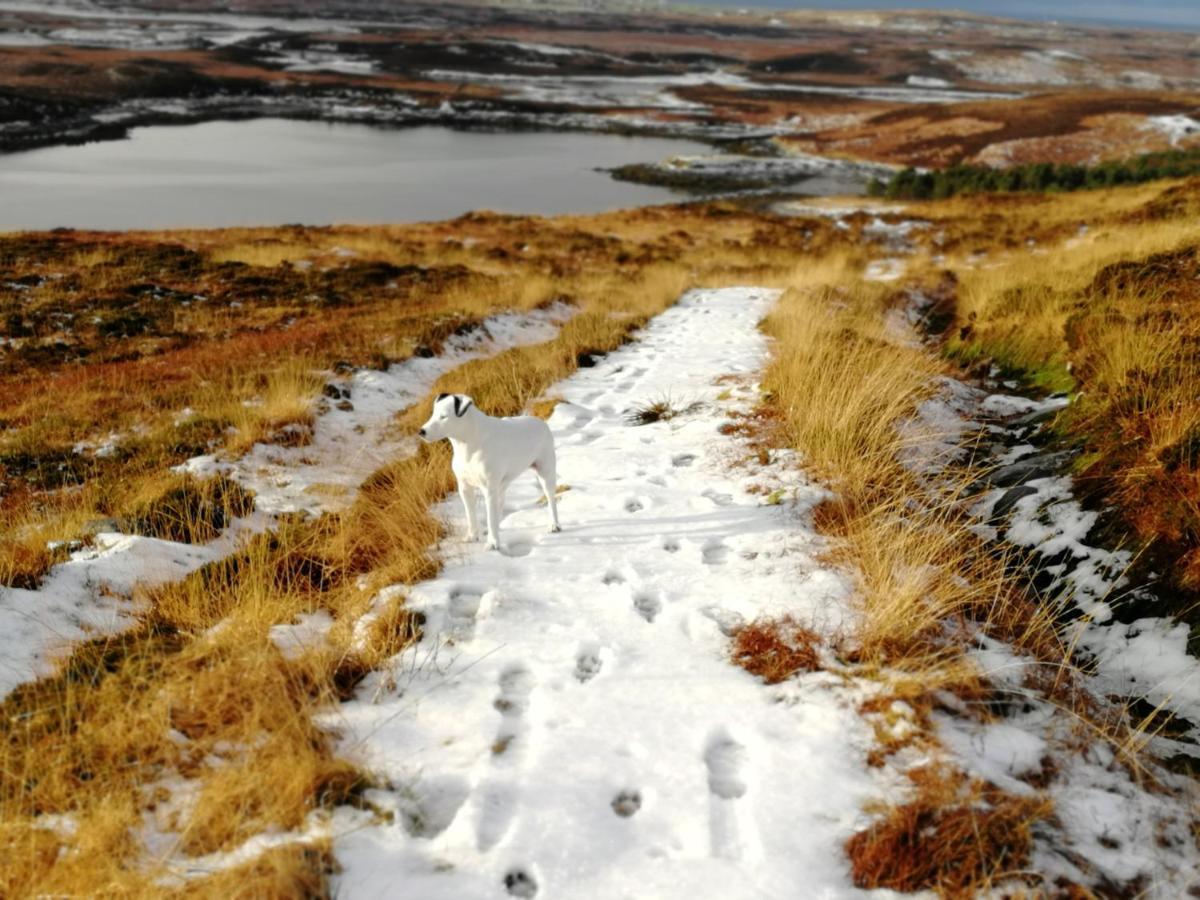 The Fisherman'S Snug Self Catering North Uist Paible Ngoại thất bức ảnh