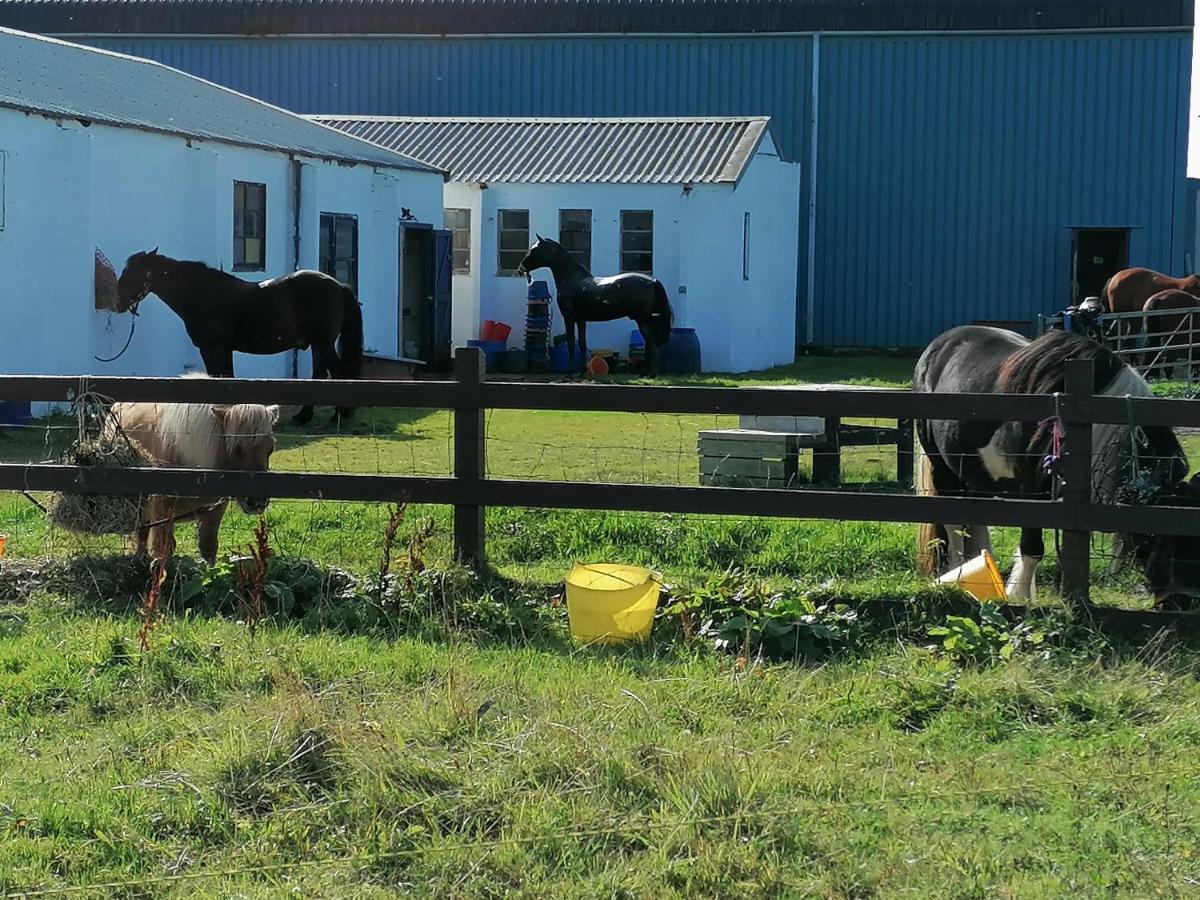 The Fisherman'S Snug Self Catering North Uist Paible Ngoại thất bức ảnh