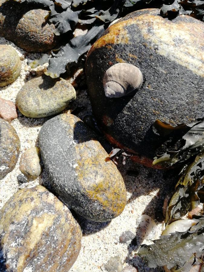 The Fisherman'S Snug Self Catering North Uist Paible Ngoại thất bức ảnh