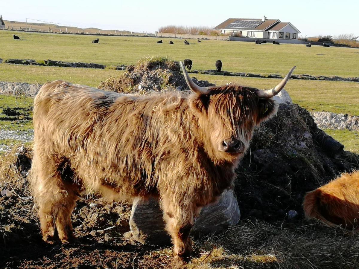 The Fisherman'S Snug Self Catering North Uist Paible Ngoại thất bức ảnh