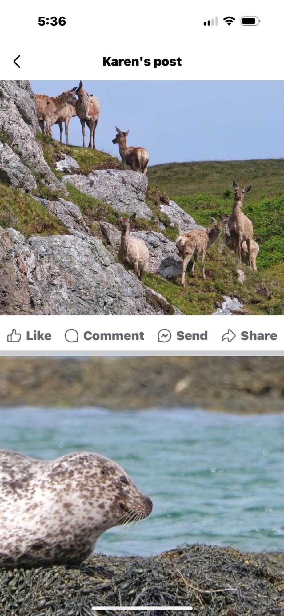 The Fisherman'S Snug Self Catering North Uist Paible Ngoại thất bức ảnh